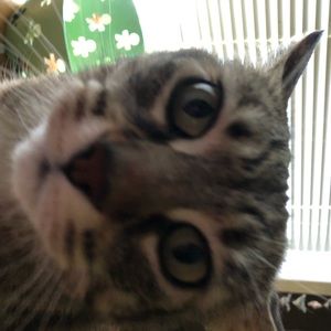 Meet your Posher, Caitlin